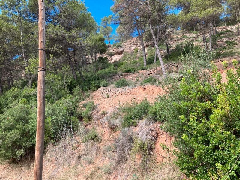 Foto 17dc01a4-957a-4006-a85f-d154029b9f66. Terreno residencial en Rellinars