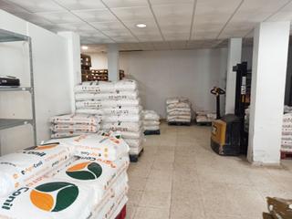 Local Comercial en Tarifa Ciudad