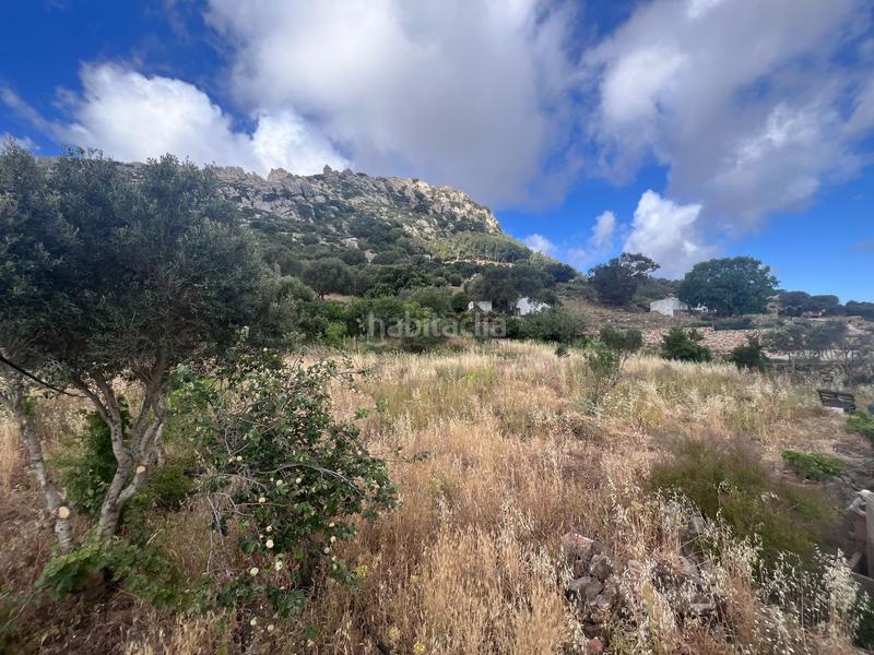 Foto 351af477-00c8-4f7a-b069-f27ca2b67730. Masia a Facinas Tarifa