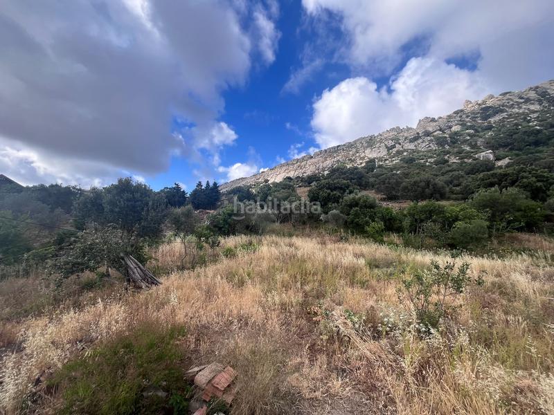 Foto 626d37dd-1210-46c7-8608-982fbad17ff7. Masia a Facinas Tarifa