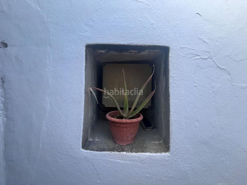 Foto 91ad0f99-1c4d-4fe5-9148-dfba64e79c06. Masia a Facinas Tarifa