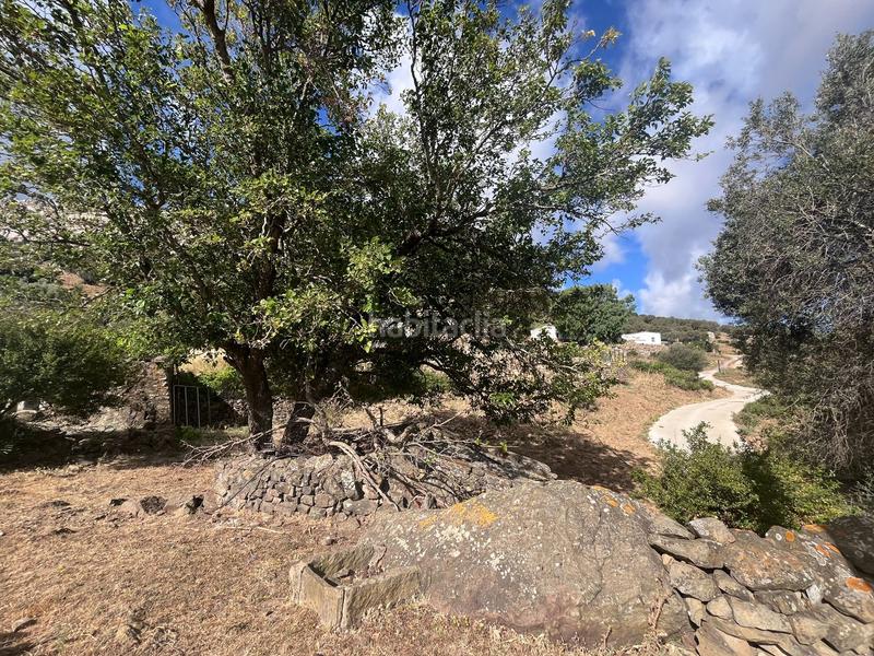 Foto c32cc690-1e01-4a20-a75f-408c85d7f41c. Masia a Facinas Tarifa