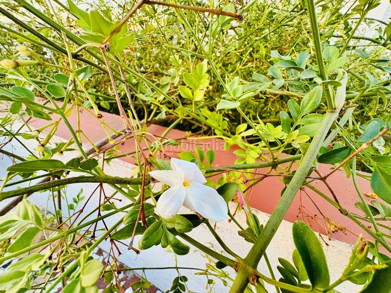 Foto cd6caa61-fb97-4c9a-b301-c4b43ecb0d64. Mas dans Facinas Tarifa