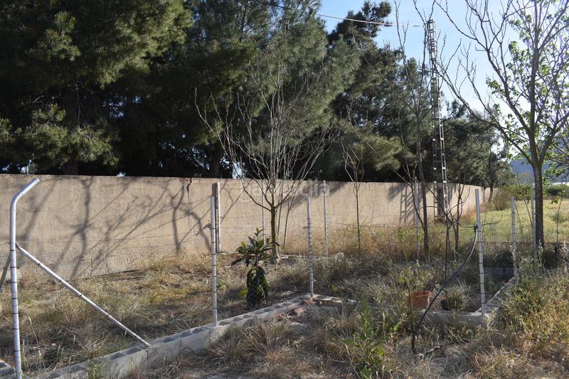 Foto 4820c7dc-a0fe-4f19-909d-5a3c227ef2d8. Casa a Redován