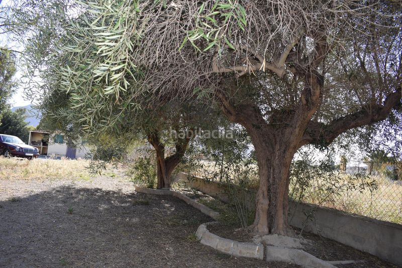 Foto 4faa94b1-701f-457a-ae4d-76b695e0606e. Casa a Redován