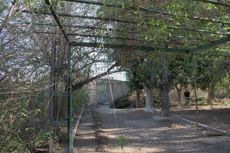 Foto e12dfa91-1a57-4a32-86d6-6603b28f9061. Casa a Redován