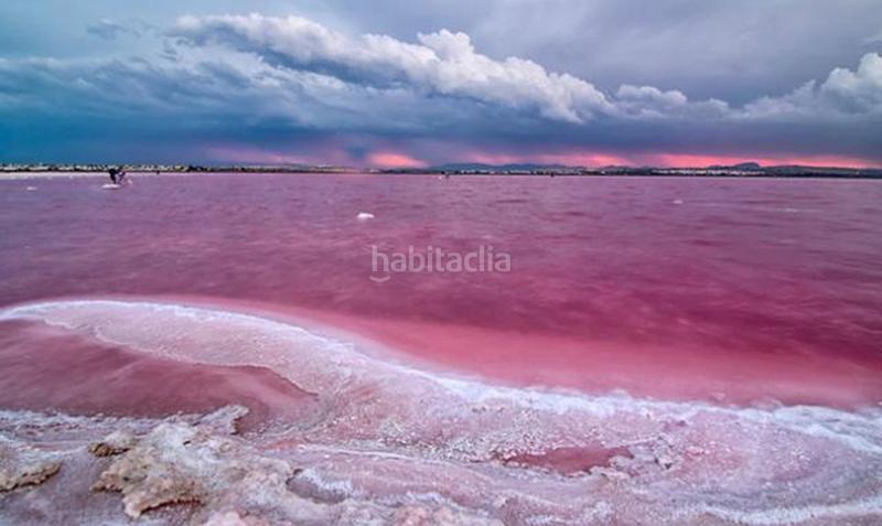 Foto 3a9c61de-c0ac-4b6e-aaf3-3e7d20a6552a. Xalet amb aparcament piscina a Zona Carrefour - Urbanizaciones Torrevieja