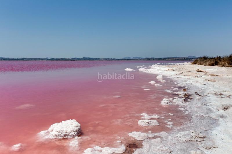 Foto d723480d-2012-4326-8c68-d329f775366e. Appartement in Zona Playa del Cura Torrevieja