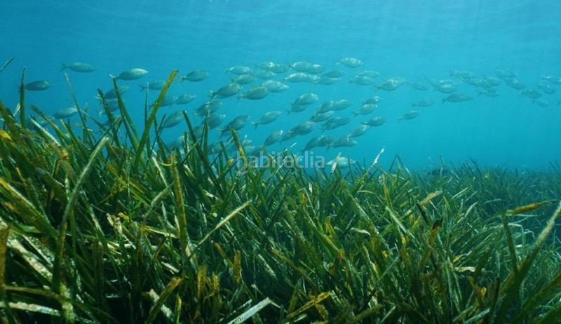 Foto 5d594427-91b7-4d88-9f9f-4aa764775e64. Chalet con riscaldamento piscina in La Fustera Benissa