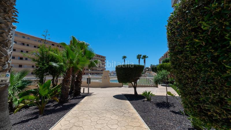 Foto 1b07ad0c-6ab4-4bbb-99e0-3666dff26d8a. Àtic a Torreblanca 14a a Torreblanca Torrevieja