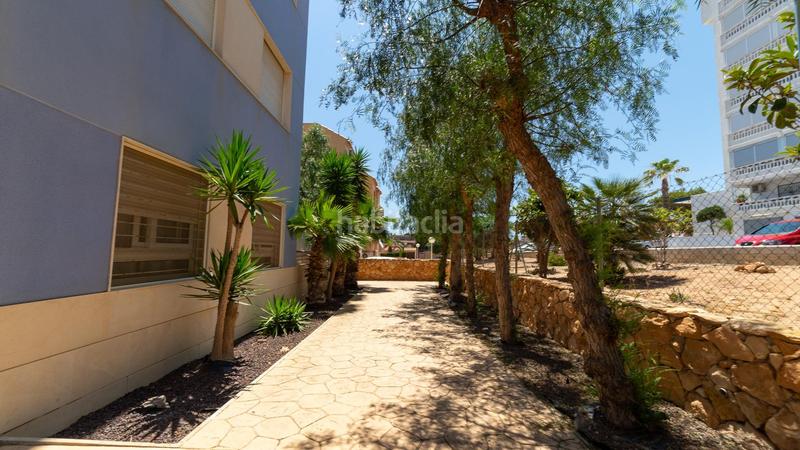 Foto 41f4fb34-3af5-4da1-8bfc-c65dc8496486. Àtic a Torreblanca 14a a Torreblanca Torrevieja