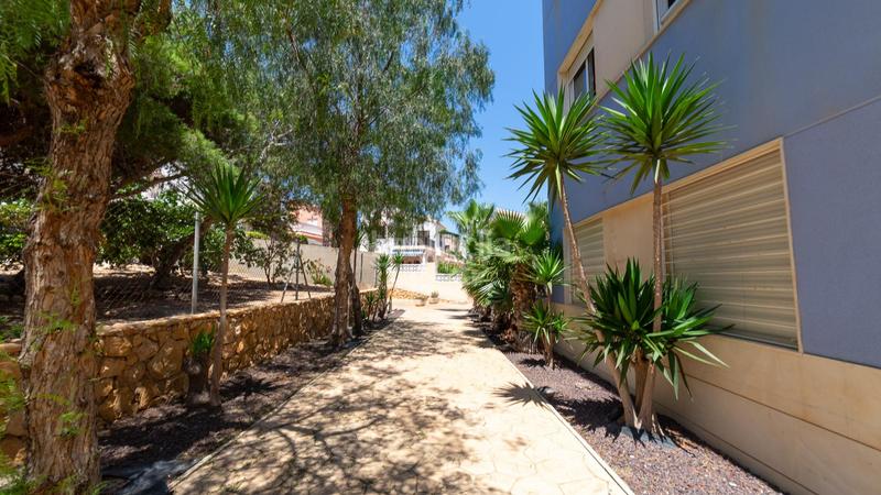 Foto b95ab153-1c48-41bc-9047-bd34cf0642c0. Àtic a Torreblanca 14a a Torreblanca Torrevieja