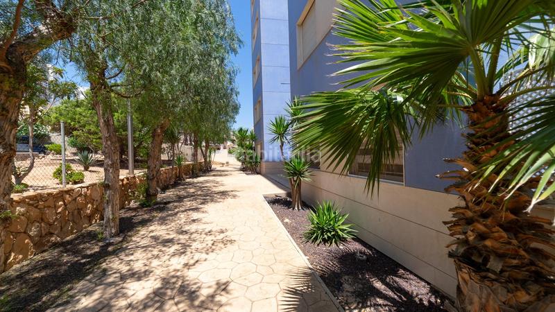 Foto d2811d37-fb1f-438a-94b7-ab6e6f6fc2c3. Àtic a Torreblanca 14a a Torreblanca Torrevieja