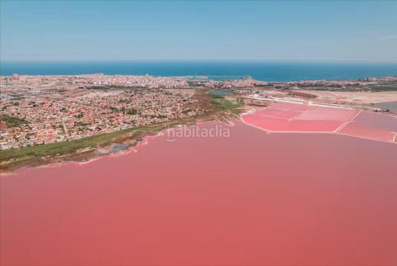 Foto 2d31c02e-85f2-4cb7-988e-96764e4a647b. Casa in Zona Carrefour - Urbanizaciones Torrevieja