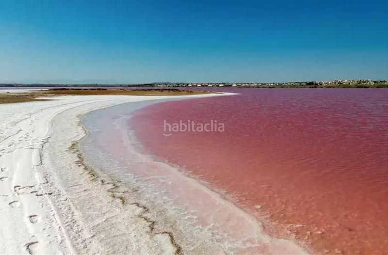 Foto 638e6f22-e227-4a69-9c3f-3b740e048545. Casa in Zona Carrefour - Urbanizaciones Torrevieja