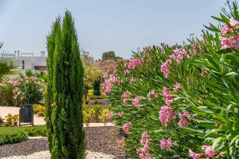 Foto 8cb09da3-bbce-455d-88b9-d247e9465eea. House with parking pool in Desamparados - Hurchillo - Torremendo Orihuela