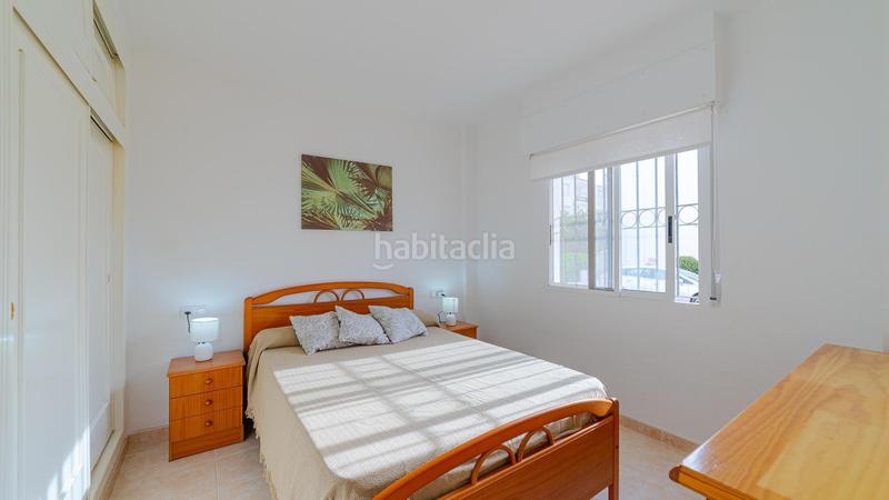 Foto 0de43496-34ba-492a-bf6c-b7db1bbf5199. Planta baixa amb piscina a La Veleta Torrevieja