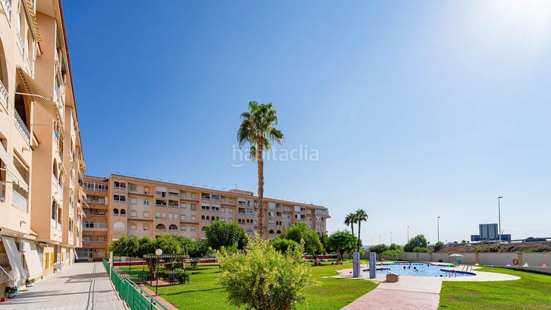 Foto e7bcd0c6-b72a-448c-9ad2-e183d313dfc6. Àtic amb piscina a Parque de las Naciones Torrevieja