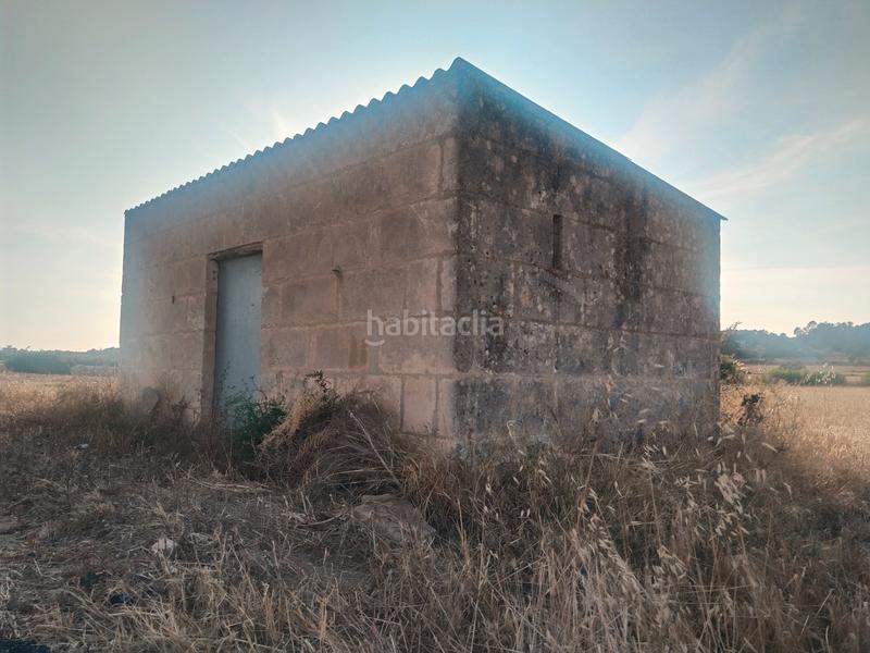 Foto 0fbcaefa-ebdf-4228-99b6-542646bc81c1. Finca rústica a Sineu