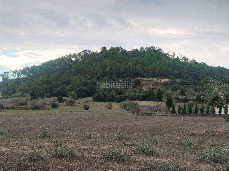 Foto 1ddf2860-460f-4547-b351-c8064bb25aa2. Finca rústica a Sineu