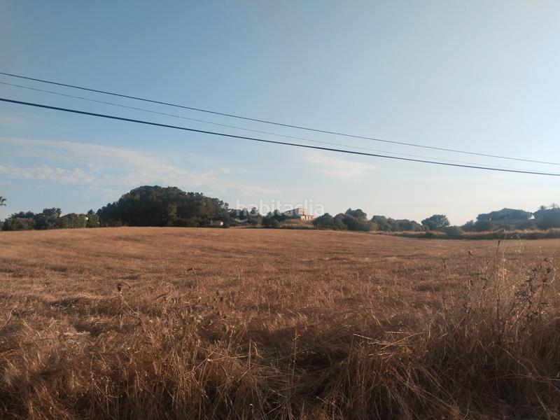 Foto 3fc1d525-eefa-4e90-a0fa-889b7123fdff. Finca rústica a Sineu