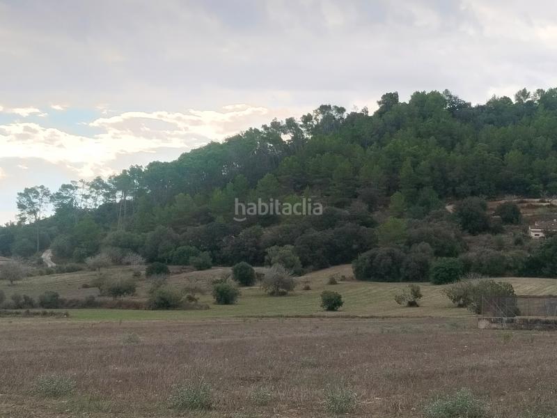 Foto 43843496-6468-46f9-9ef1-a089fe6c6846. Finca rústica a Sineu