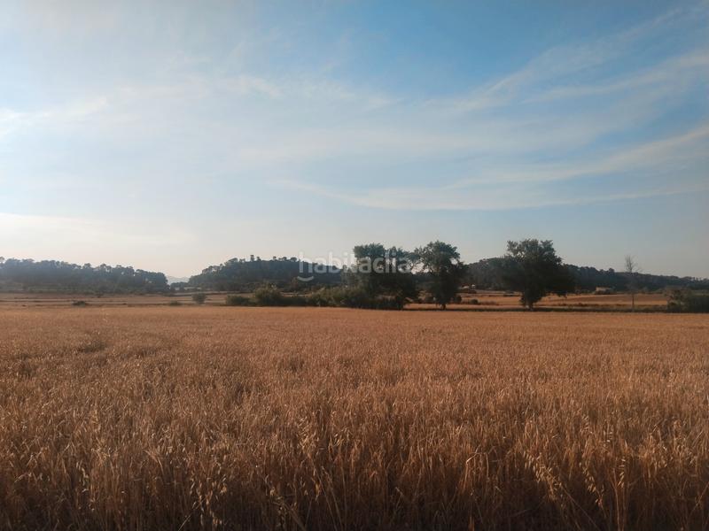 Foto 68fac0d3-4e79-4cba-b830-2eb3c355ad28. Finca rústica a Sineu