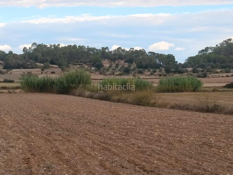 Foto 6c9909b0-0b70-489a-b48a-0b677b1eb774. Finca rústica a Sineu