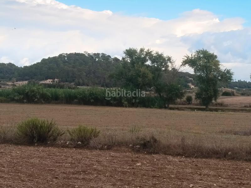 Foto 786de40b-c52c-4f6b-a940-6f5dbca8d7d2. Finca rústica a Sineu