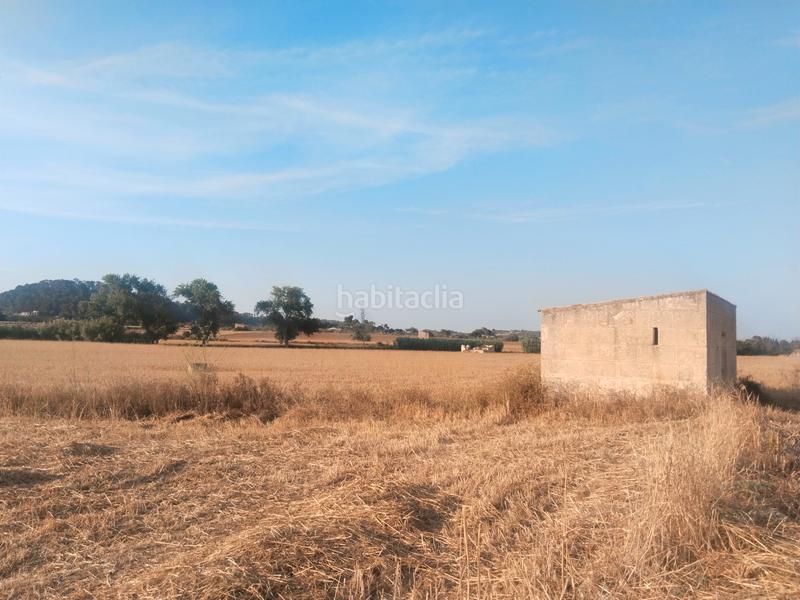 Foto 7ca2a6b4-88e1-4b40-bc4d-55111198f180. Finca rústica a Sineu