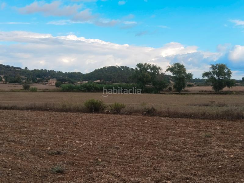 Foto d6e85279-f086-4683-a0bc-2d8a5572e9cb. Finca rústica a Sineu