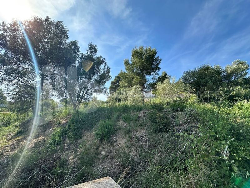 Foto 4f52f62c-fa91-41fa-929e-130735a6f7d8. Terreny residencial a Sant Muç Rubí