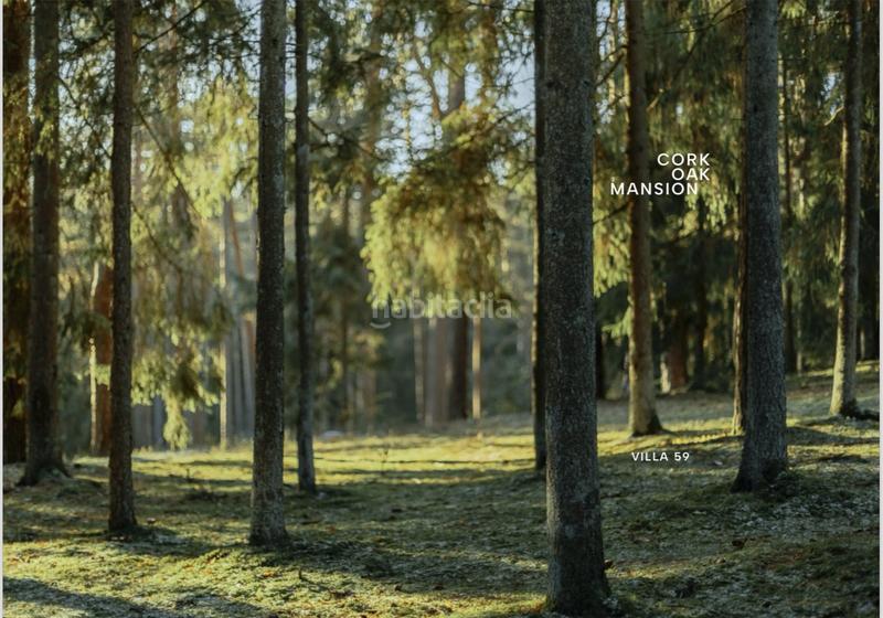 Foto 21193010-b8d1-4272-8f0a-78ea69b6a7d6. Haus mit parking pool in Sotogrande alto Sotogrande