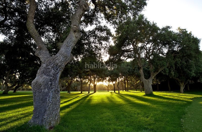 Foto bef5e42f-1d50-4d39-aeaf-f3e4e486218b. Terreny residencial a Sotogrande alto Sotogrande