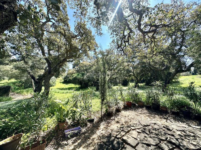 Foto 8f3666da-eb15-4ac6-83c4-84a8f58a3b8e. Casa amb aparcament piscina a Sotogrande costa Sotogrande