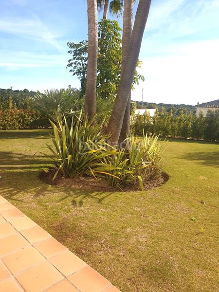 Foto c7dd52ff-d3cb-437d-83e0-f3be439198a0. Location maison jumelée avec parking piscine dans Sotogrande alto Sotogrande