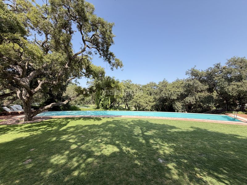 Foto b2d14ee2-96a0-454d-9c40-de1c6d8a9c4d. Casa amb calefacció aparcament piscina a Sotogrande costa Sotogrande