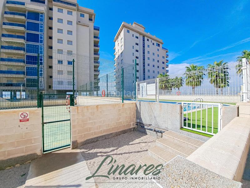 Foto e1fc9792-f960-410d-8353-57cf33bf0c49. Apartamento  acogedor en la manga del mar menor, km 17 en Manga del Mar Menor (La)