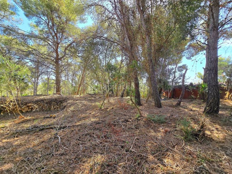 Foto 22493576-6b93-4a97-996e-7f70586b0bb2. Casa amb aparcament a costa Cunit - els jardins - els rosers Cunit