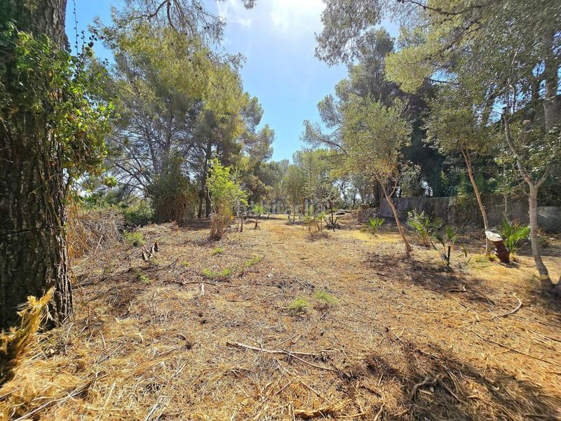 Foto 265dce2d-50a3-47c3-a752-cbdc82d7c4d6. Casa amb aparcament a costa Cunit - els jardins - els rosers Cunit
