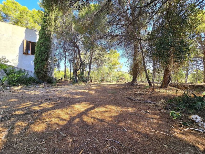 Foto 6d1a4002-44f0-4867-8041-9dc76fed052b. Casa amb aparcament a costa Cunit - els jardins - els rosers Cunit