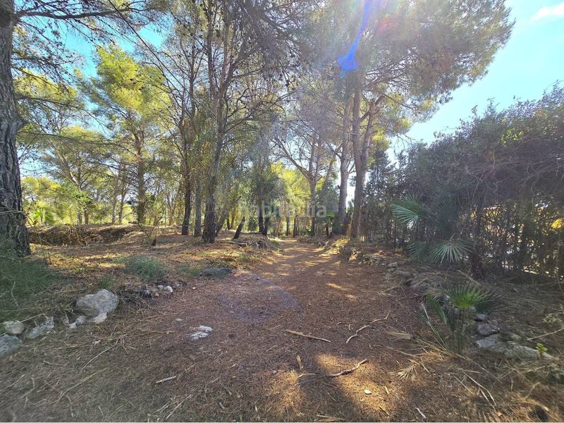 Foto 97a98b9b-5332-41c6-9941-28d1ac87b55e. Casa amb aparcament a costa Cunit - els jardins - els rosers Cunit