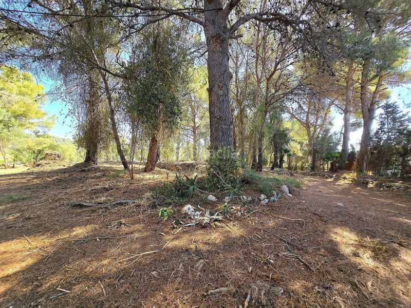 Foto b78bf0f5-8cd0-4c98-ae49-6bae8fe0733b. Casa amb aparcament a costa Cunit - els jardins - els rosers Cunit