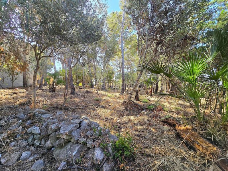 Foto c08a3d30-9764-4a41-89fc-22118baabf79. Casa amb aparcament a costa Cunit - els jardins - els rosers Cunit