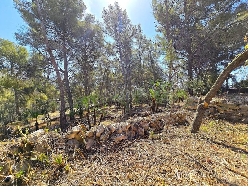 Foto c37f2d38-1252-421f-9233-1252a014a4b5. Casa amb aparcament a costa Cunit - els jardins - els rosers Cunit