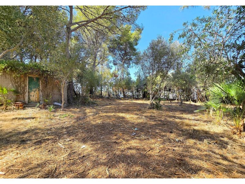 Foto cbeab093-603d-491a-9029-94a372ad9386. Casa amb aparcament a costa Cunit - els jardins - els rosers Cunit