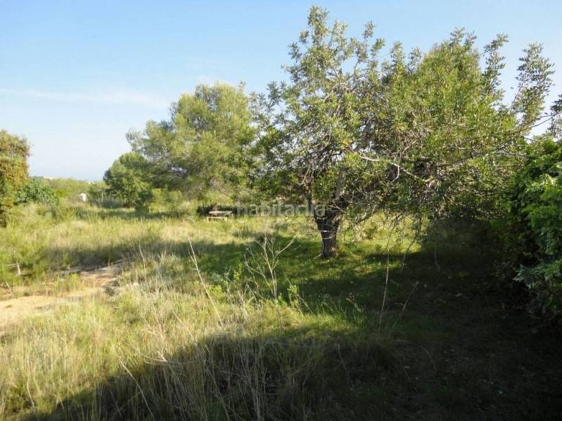 Foto 2bc000e7-3274-41db-987f-20ba5cdb8ce8. Terreny residencial a clarà 00 a Pobla de Montornès (La)