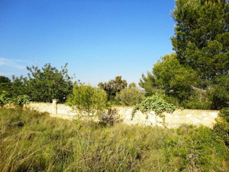 Foto 9c5fd3d9-e7b4-4d6d-bfd0-faff4c11fa0d. Terreny residencial a clarà 00 a Pobla de Montornès (La)