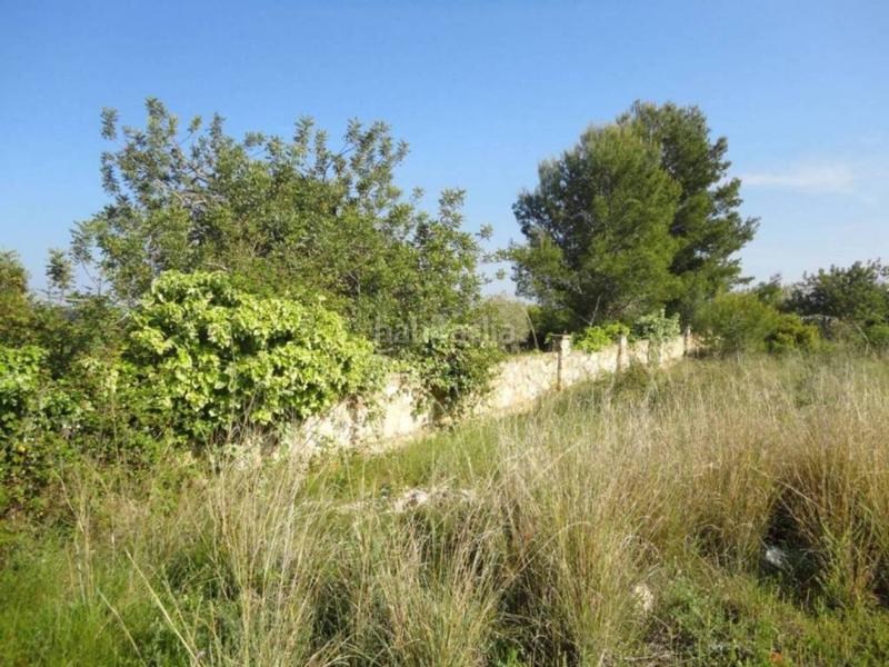 Foto ad63728a-7498-4a74-9ce2-651755c16e14. Terreny residencial a clarà 00 a Pobla de Montornès (La)