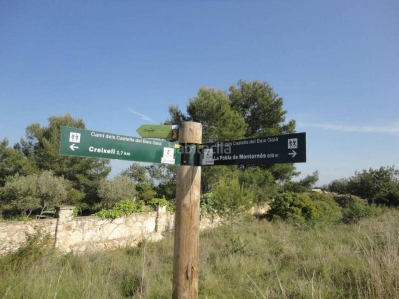 Foto afc24134-21f8-4371-9def-1251499f3656. Terreny residencial a clarà 00 a Pobla de Montornès (La)